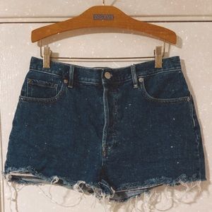 Everlane Shorts